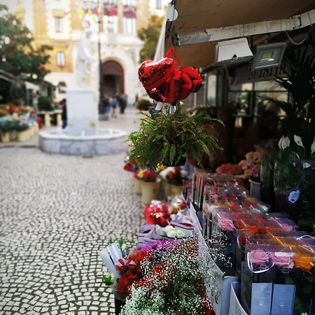 Casa Nautilus Vendégház Cádiz