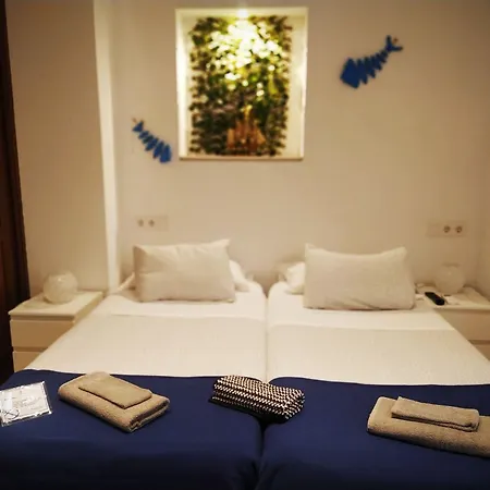 Casa Nautilus *