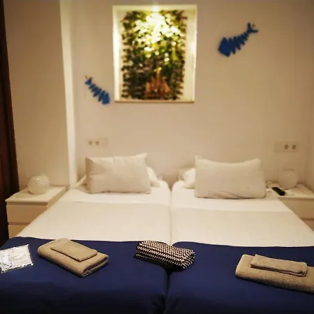 Πανσιόν Casa Nautilus *