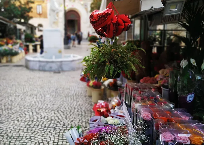 Casa Nautilus Gasthuis Cádiz